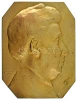 Murányi Gyula (1881-1920) 1908. egyoldalas bronz emlékplakett jobbra néző női portréval (92x114mm) T:XF