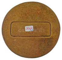 Nagy István (1920-) DN "Pécs - Erfurt Pro Amicitia" öntött bronz emlékérem (85mm) T:XF