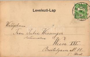 1908 Máriabeszterce, Máriabisztrica, Marija Bistrica; Bazilika, üzletek / Davorin Za Jc. Prostenjbki...