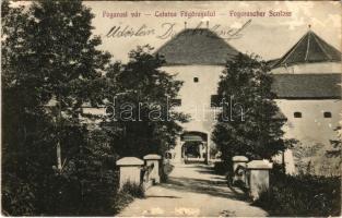 1911 Fogaras, Fagaras; vár. Jer. Preda kiadása / Cetatea Fagarasului / Fogarascher Schloss / castle (felületi sérülés / surface damage)