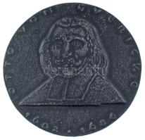 NDK DN "Otto von Guericke / Otto von Guericke Műszaki Középiskola, Magdeburg" öntött Fe emlékérem (87mm) T:XF GDR ND "Otto von Guericke / Technische Hochschule Otto von Guericke, Magdeburg" cast Fe medal (87mm) C:XF