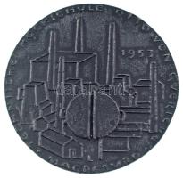 NDK DN "Otto von Guericke / Otto von Guericke Műszaki Középiskola, Magdeburg" öntött Fe em...