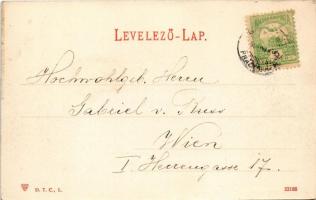 1904 Balatonszemes, Faluszemes; Nyaralók a Balaton mellett. Balázsovich Gyula kiadása