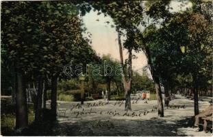 1913 Nagyenyed, Aiud; Erzsébet sétatéri részlet. Lázár Adolf utóda kiadása / promenade, park