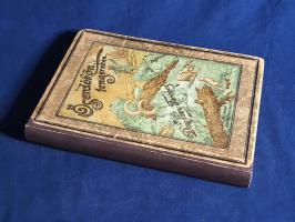 Donászy Ferenc: 
Őserdőkön, tengereken. Természeti képek és vadászkalandok mind az öt világrészből....