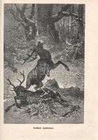 Donászy Ferenc: 
Őserdőkön, tengereken. Természeti képek és vadászkalandok mind az öt világrészből....