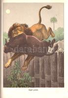 Donászy Ferenc: 
Őserdőkön, tengereken. Természeti képek és vadászkalandok mind az öt világrészből....