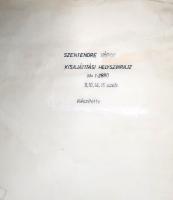 [Térkép] Szentendre város kéziratos kisajátítási helyszínrajza a Sztaravoda-patak völgyében, a Szaba...