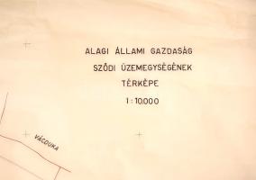 [Térkép] Az Alagi Állami Gazdaság sződi üzemegységének kéziratos térképe. Mérték: 1: 10 000. (1960 körül) [Budapest, 1960 körül] [ny. n.] Tussal rajzolt térkép, kézi határszínezésekkel. Mérete: 945x1050 mm egy 975x1240 mm méretű térképlapon. Az Alagi Állami Gazdaság a sok évtizedes múltra visszatekintő, 1200 hold területen gazdálkodó, két világháború között működő Alagi Majorság területéből alakult, a géppark, az állat- és területállomány, a szakembergárda, valamint az Alagi Földmíves Szövetkezet dolgozóinak átvételével. A mezőgazdaság kollektivizálása keretében már korábban is óriási földterületek és jelentős munkavállalói réteg került egységes, állami, tervutasításos irányítás alá, ám az 1950-es évek végén az Alagi Állami Gazdaság kezelésébe újabb, sződligeti és vecsési területeket is beolvasztottak. Térképünkön a kibővített Alagi Állami Gazdaság sződi területszerzeményei - a váci, a sződi, a vácrátóti, őrszentmiklósi, csomádi és alsógödi határban szerzett területek. A községhatárok zöld, az újabb területszerzemények sárga határszínezéssel jelölve. Térképünk részletesen dokumentálja, hogy az állami gazdaság sződi üzemegysége Vác városának külterületén szerezte meg legfontosabb birtokait. Címfeliratozás a jobb felső sarokban, a térképlapon felül apró szakadások, a bal alsó sarokban apró javítás, a jobb alsó sarokban apró hiány. Jó állapotú térkép.