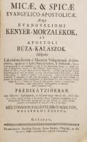 Bíró Márton, padányi: Micae, & Spicae Evangelico-Apostolicae. Avagy evangyéliomi kenyér-morzalék...