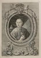 Bíró Márton, padányi: Micae, & Spicae Evangelico-Apostolicae. Avagy evangyéliomi kenyér-morzalék...