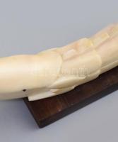 Afrikai faragott krokodil. Fa talpazaton, faragott elefántcsont, h: 20 cm