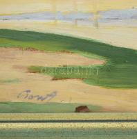 Csont Ferenc (1888-1969): Vízparti táj. Olaj, kartonon, jelezve balra lent. Fakeretben. 29x39 cm / o...