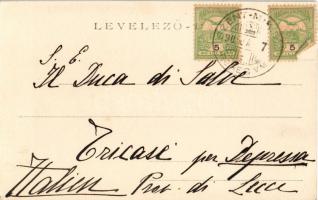 1905 Beregvár, Karpaty, Karpati (Szentmiklós, Beregszentmiklós, Cinadievo, Chynadiyovo); Schönborn k...