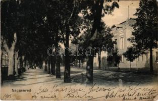 1905 Nagyvárad, Oradea; utca. Sebő Imre kiadása / street view (szakadás / tear)