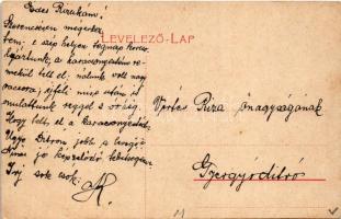 Marosillye, Maros-Illye, Ilia; Maros-part az uszodával / Mures riverside, swimming pool (EB)