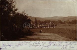 1902 Beresztelke, Bretzdorf, Breaza; út, háttérben kastély / road, castle in the distance. photo (EB)