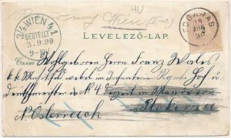 1899 (Vorläufer) Fogaras, Fagaras; Totalansicht, Schloss-Eingang, Alte-Brücke / látkép, bejárata vár...