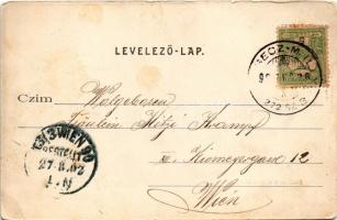 1902 Facset, Facsád, Faget; Szálloda a Magyar Királyhoz. Weisz Salamon kiadása / hotel + "VERSE...