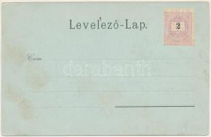 Karánsebes, Caransebes; látkép, vashíd. Perlfaster H. és fia kiadása / general view, iron bridge. Ar...