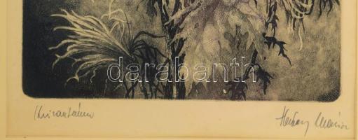 Hertay Mária (1932-2018): Krizanténum. Rézkarc, papír, jelzett, üvegezett fakeretben, 60×23 cm