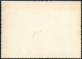 Lehár Ferenc (1870-1948) zeneszerző dedikált fotója dr. Fülei-Szántó Endre (1890-1958) jogász, egyet...