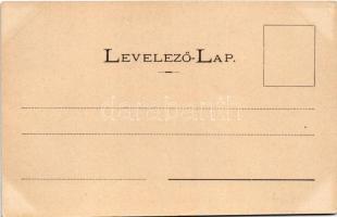 Borszék, Borsec; Alsó-Borszék gyártelep. Bogdánffy István kiadása / factory site (EK)