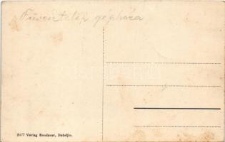 Dobrljin, Otto Steinbeis'sche Sägewerke / sawmill (fl)