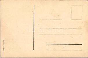 Dobrljin, Doberlin; Brücke in Otto Steinbeis'sche Sägewerk / sawmill and bridge, industrial rai...