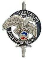 Franciaország DN Commando Aguerrissement műgyantás fém ejtőernyős jelvény (40x55mm) T:AU France ND Commando Aguerrissement resin metal parachute badge (40x55mm) C:AU