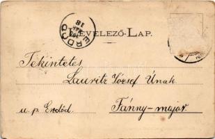 1900 Sárköz, Sarchiuz, Livada; Báró Vécsey kastély oldalról nézve. Hegedüs Gyula kiadása / castle (E...