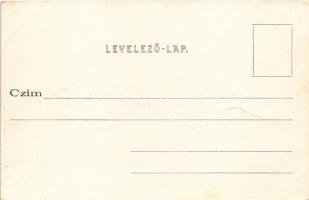 Budapest, Eskü téri híd (Erzsébet királyné híd) építés közben, dunai fürdő uszoda. Divald Károly 661...