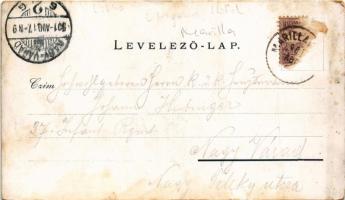 1901 Marilla, Marillavölgy, Marila; Gyógyintézet. Gross Gyula kiadása / spa. Art Nouveau, floral (fa...