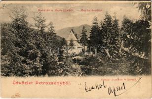 1901 Petrozsény, Petrosani; Részlet a Szurdukból, Gerbert Villa. Joánovits és Sternád kiadása / villa