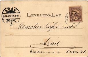 1901 Petrozsény, Petrosani; Részlet a Szurdukból, Gerbert Villa. Joánovits és Sternád kiadása / vill...