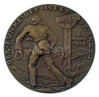Németország / Weimari Köztársaság 1918. "A világégés szikrája" öntött bronz gúnyérem. Szig...