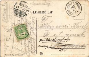 1907 Érendréd, Ér-Endréd, Andrid; Strobentz lak. Kaszavitz Ignác kiadása / villa (EK)