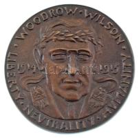 Németország / Weimari Köztársaság 1915. "Woodrow Wilson" öntött bronz gúnyérem. Szign.: Karl Götz (58mm) T:AU / Germany / Weimar Republic 1915. "Woodrow Wilson" cast bronze mock medal. "WOODROW WILSON - LIBERTY - NEVTRALITY - HUMANITY". Sign.: Karl Goetz (58mm) T:AU