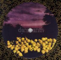 Hegedűs 2 László (1950-): Vadkörték, 2000. Művészlemez (bakelit). Jelzett, számozott: 22/50. Eredeti...