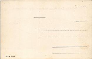 Arad, Némethy Emil magyarországi repülőgépe. Biró A. kiadása / aircraft with aviator