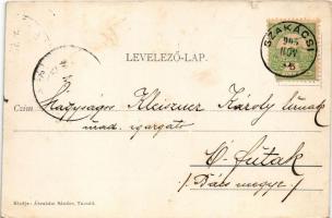 1905 Tasnád, szőlőskert. Ábrahám Sándor kiadása / vineyards (kis szakadás / small tear)