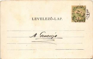 1904 Alvinc, Vintu de Jos; Martinuczi (Martinuzzi) vár romjai / castle ruins (EK)