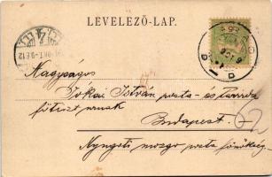 1904 Brassó, Kronstadt, Brasov; Postarét. Ciurcu / Postwiese / Livadia postei