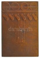 Reményi József (1887-1977) 1908. "Kalotaszeg" kétoldalas bronz plakett, Éremkedvelők Egyes...