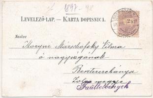 1898 (Vorläufer) Nagyszeben, Hermannstadt, Sibiu; látkép, Nagydisznód / Michelsberg / general view, ...