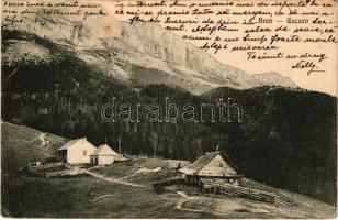 198 Törcsvár, Törzburg, Bran-Poarta, Bran; Guczan / menedékház. N. Popovici kiadása / chalet, tourist house (EK)