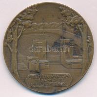 1934. "Stadionavatás 1934. VI. 2-10. Debrecen" bronz emlékérem (58mm) T:XF fo.