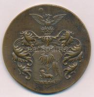 1934. "Stadionavatás 1934. VI. 2-10. Debrecen" bronz emlékérem (58mm) T:XF fo