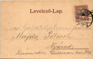 1900 Félixfürdő, Baile Felix; fürdő telep. Farkas Sándor fényképész kiadása / spa (fl)