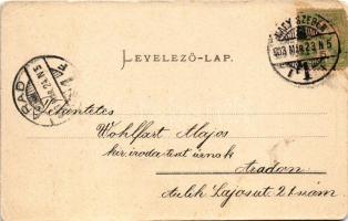 1903 Nagyszeben, Hermannstadt, Sibiu; Szent Ferenc-rendi nővérek tan- és nevelőintézete / Franciscan...